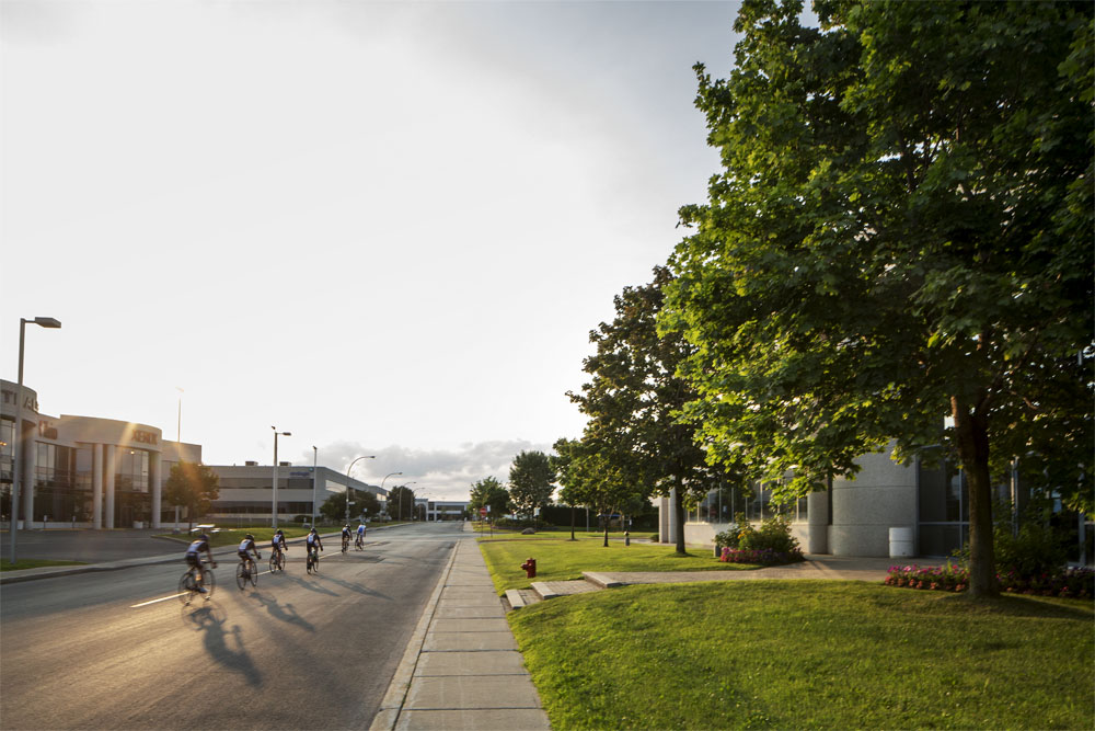 Early evening cyclists